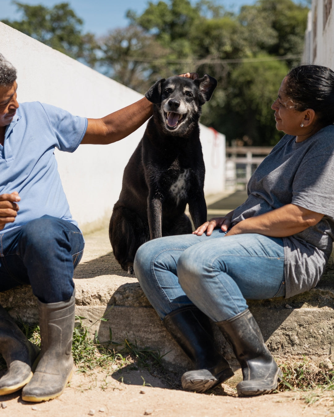 How Diatomaceous Earth Supports Foster Dog Clinics Worldwide