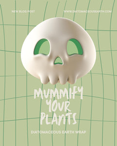 How to protect plants during the colder season: Mummify