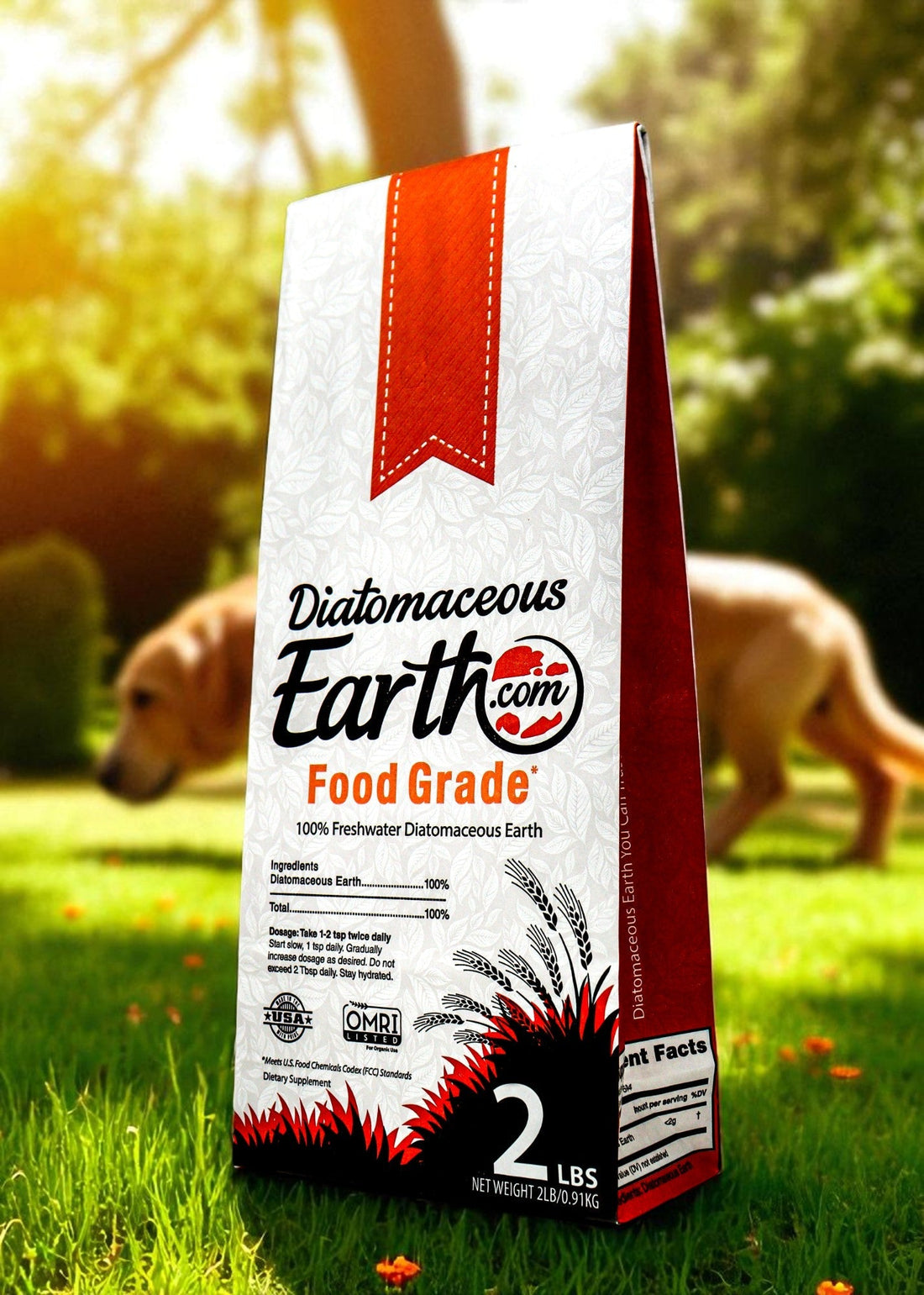 Is Diatomaceous Earth Safe for Pets? Everything You Need to Know in 2025