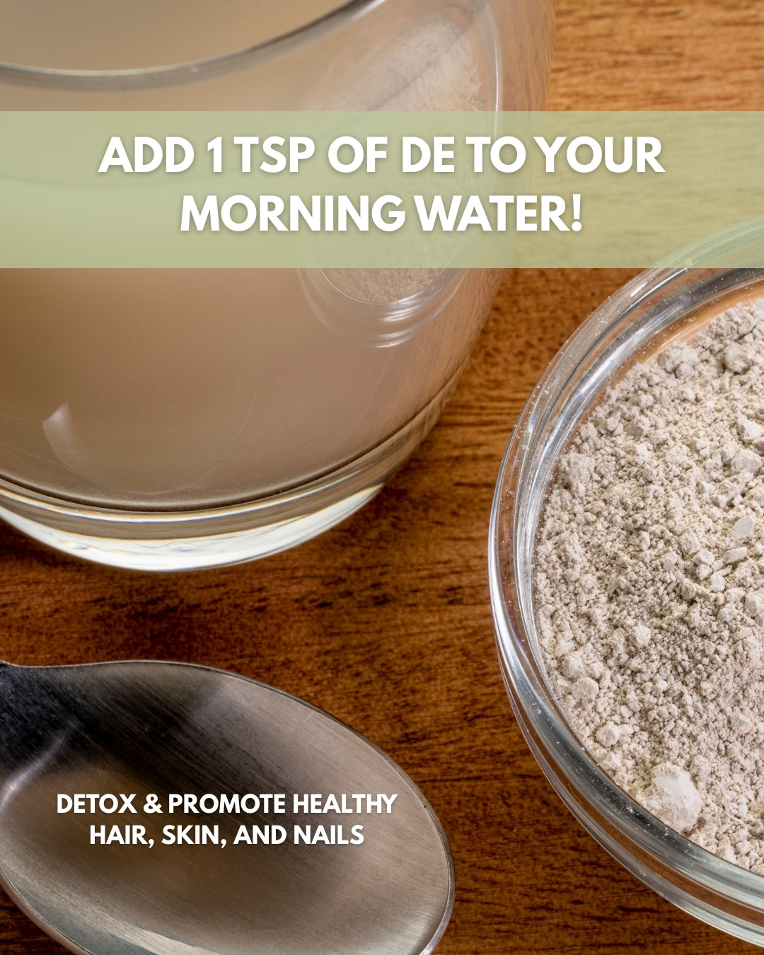 2 Lbs Food Grade Diatomaceous Earth