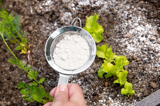 Martha Stewart Article on Food Grade Diatomaceous Earth for Home & Garden Use