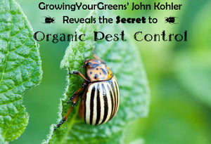 John Kohler's Secret to Organic Pest Control