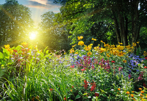 Diatomaceous Earth Dries Flowers