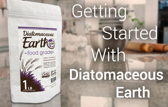 Beginner's Guide to Diatomaceous Earth