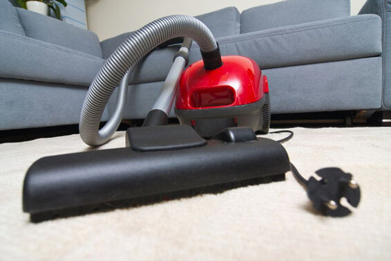 Diatomaceous Earth: Deodorizing Your Vacuum