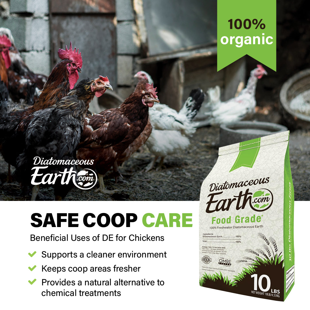 10 Lbs Food Grade Diatomaceous Earth