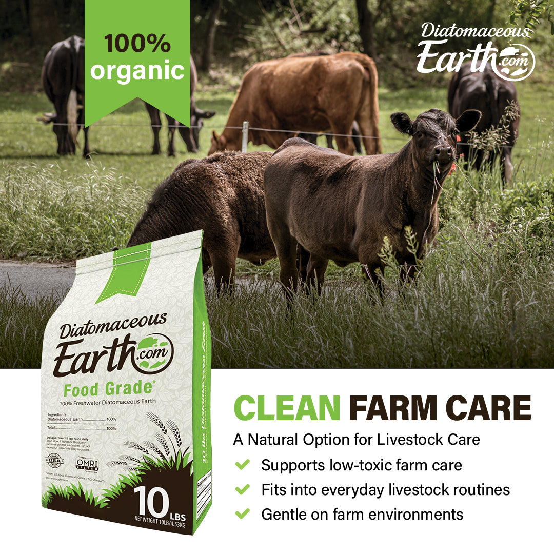 10 Lbs Food Grade Diatomaceous Earth