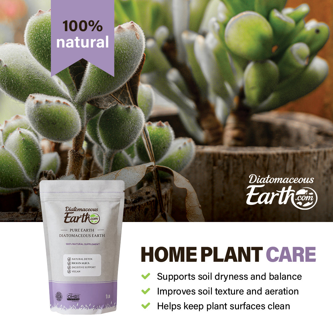 1 Lb Food Grade Diatomaceous Earth