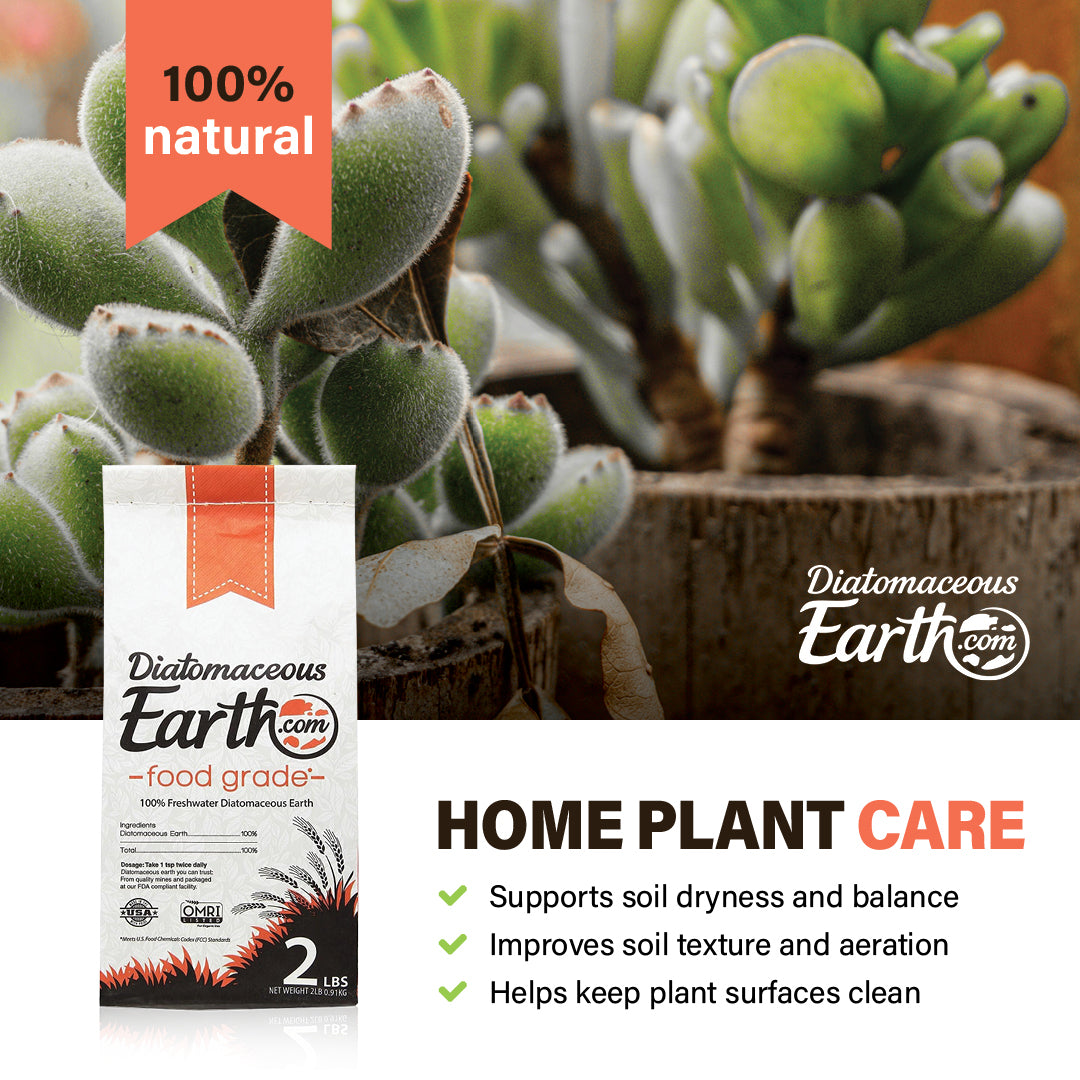 diatomaceous earth for pot plants DiatomaceousEarth Food Grade de 2 lb- Includes Free Scoop 1 Pack