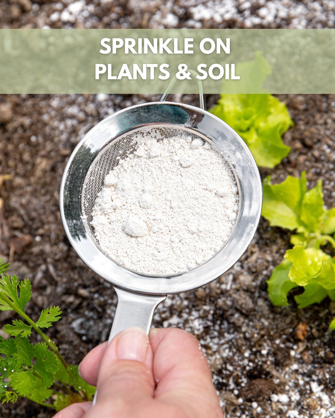 5 lbs Food Grade Diatomaceous Earth
