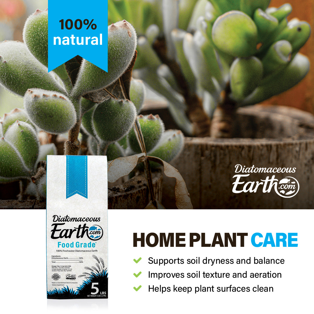 5 lbs Food Grade Diatomaceous Earth