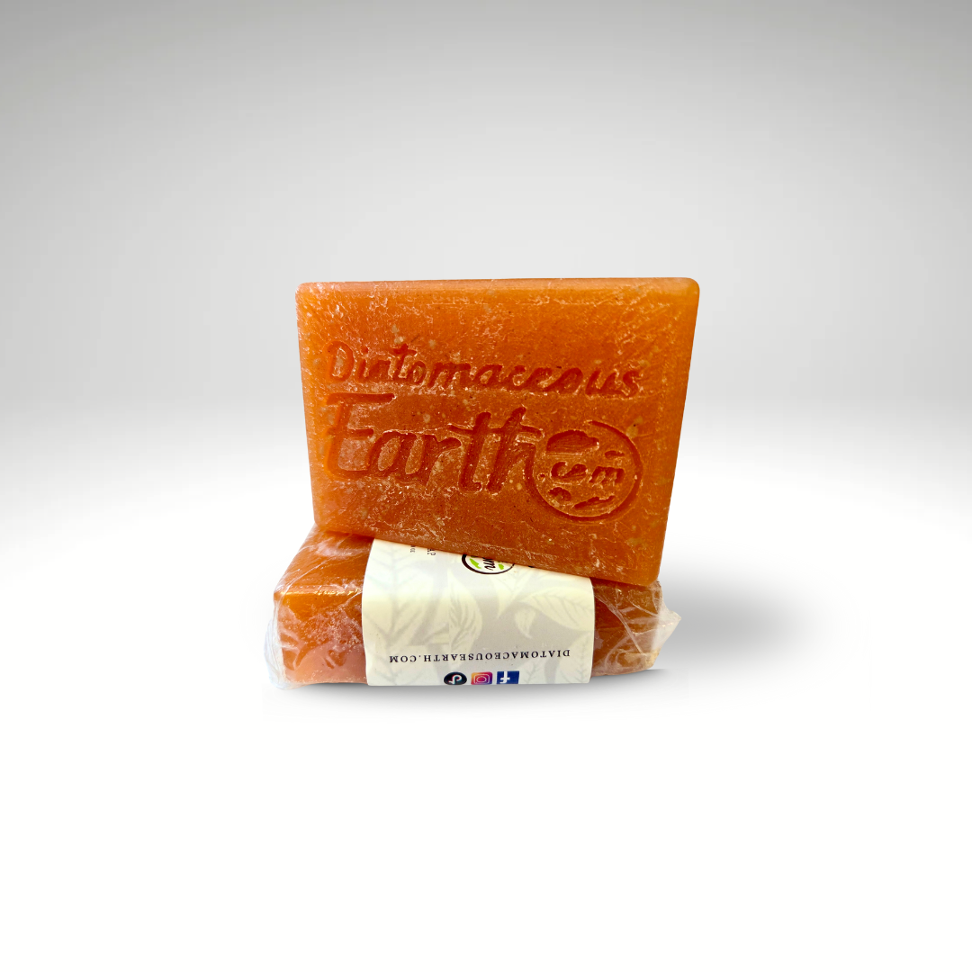 New Seasonal (Carmel Pumpkin) Soap Bar Diatomaceous Earth
