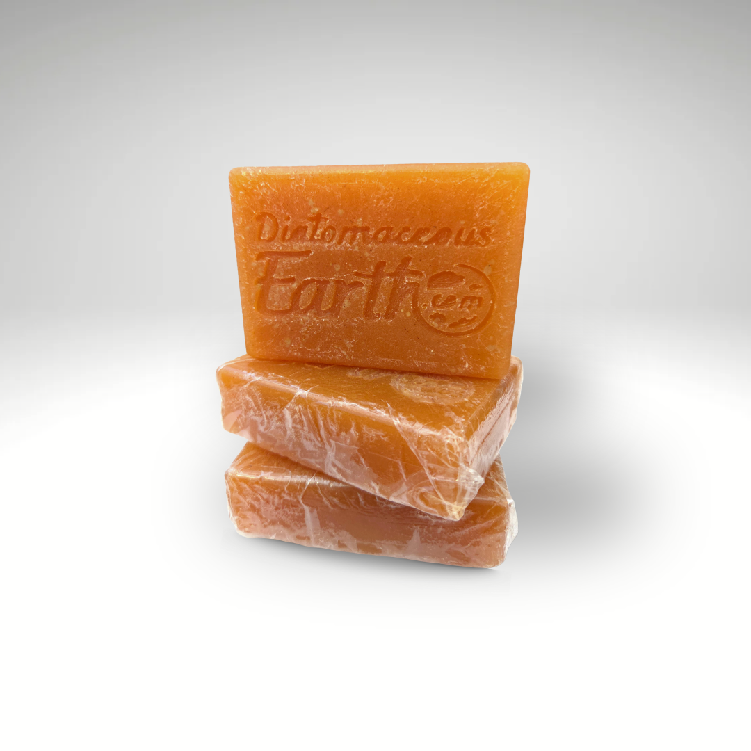 New Seasonal (Carmel Pumpkin) Soap Bar Diatomaceous Earth