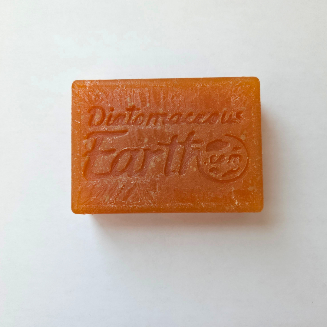New Seasonal (Carmel Pumpkin) Soap Bar Diatomaceous Earth