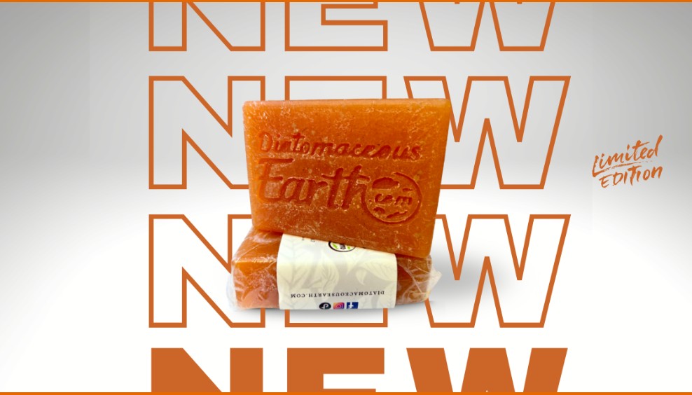 New Seasonal (Carmel Pumpkin) Soap Bar Diatomaceous Earth
