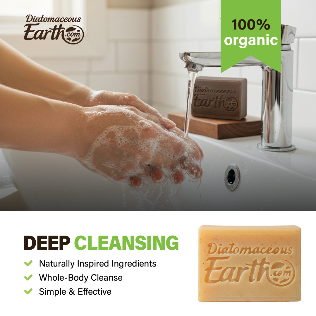 New Seasonal (Winter Wonderland) Soap Bar Diatomaceous Earth
