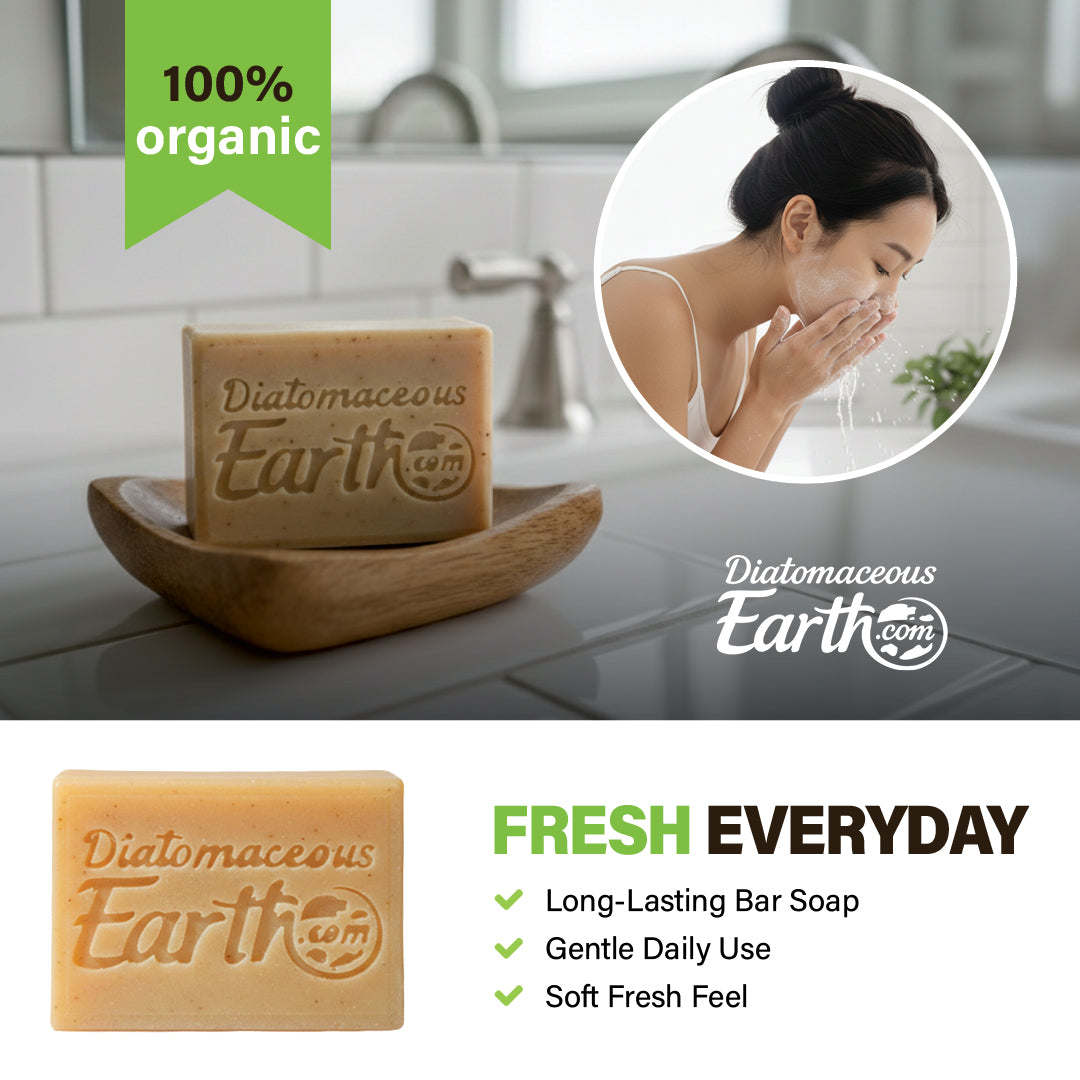 New Seasonal (Winter Wonderland) Soap Bar Diatomaceous Earth